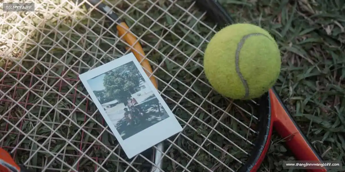 为什么选择我们